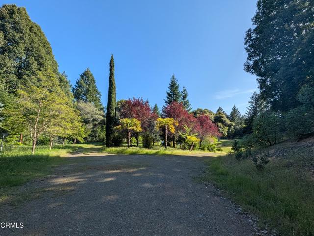 Detail Gallery Image 24 of 49 For 22346 Rickard Ranch Rd, Point Arena,  CA 95468 - – Beds | – Baths