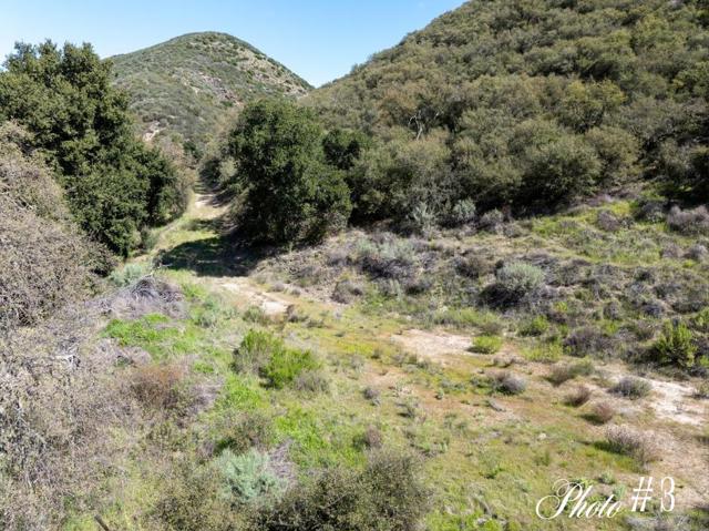 44175 Carmel Valley, Greenfield CA: https://media.crmls.org/mediaz/b98d1e7e-c2d5-4353-b4e9-fc914887e87e.jpg