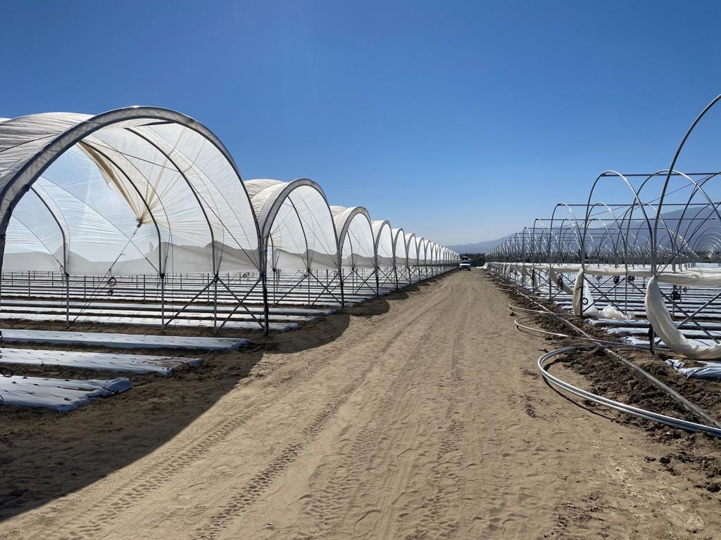 50501 Fillmore St, Thermal, CA 92274