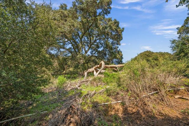 Image 45 of 48 For 32300 Palomares Road