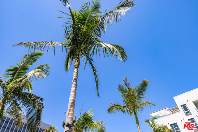 5075 Camino De La Siesta, San Diego CA: https://media.crmls.org/mediaz/b9975b5b-c237-4bc0-8b83-0be18db8b732.jpg