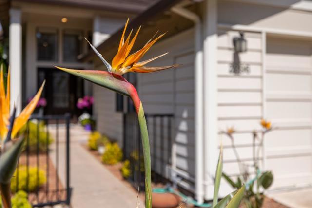 2896 Ransford Avenue, Pacific Grove CA: https://media.crmls.org/mediaz/b99d77eb-7544-4373-8b8a-ee37458128a3.jpg