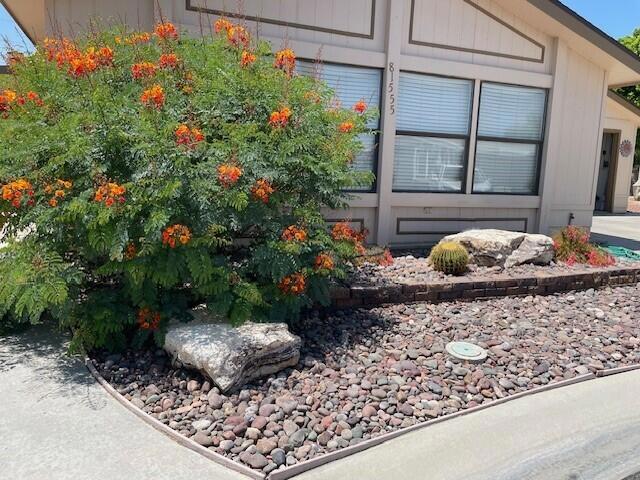 1.front of house with bush