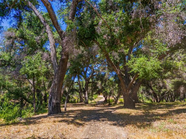 Detail Gallery Image 7 of 34 For 0 Tenaja Rd, Fallbrook,  CA 92028 - – Beds | – Baths