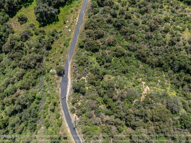 Detail Gallery Image 34 of 45 For 4700 Rising Hill Rd, Altadena,  CA 91001 - – Beds | – Baths