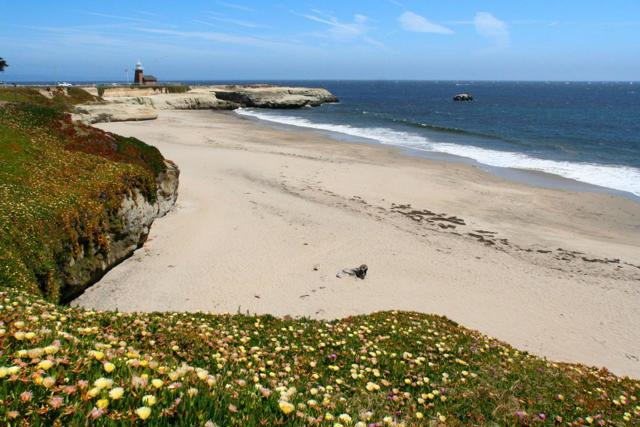 202 Panetta Avenue, Santa Cruz CA: https://media.crmls.org/mediaz/b9b68122-c42b-4270-89ea-0e1dab592516.jpg