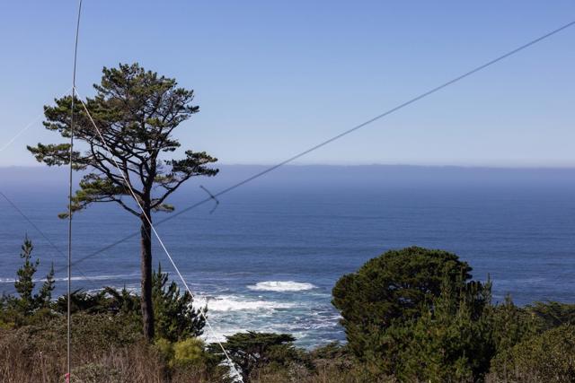 232 Lower Walden Road, Carmel CA: https://media.crmls.org/mediaz/b9b82ccf-0251-498c-9ba0-eb1740a85144.jpg