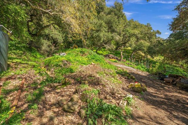 Image 24 of 48 For 32300 Palomares Road