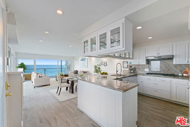 Drew Fenton | 20436 Pacific Coast Highway Malibu CA | MLS: 7291618