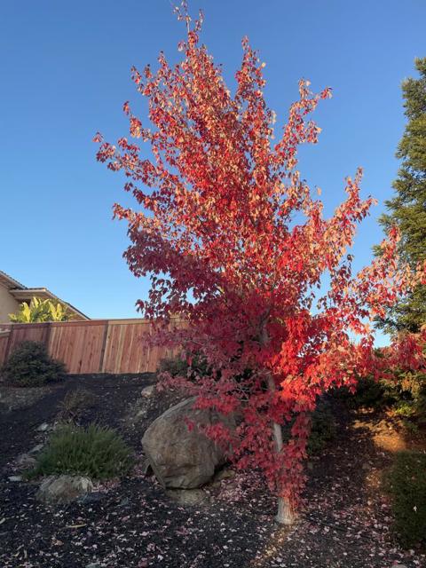 5100 Thalia Drive, El Dorado Hills CA: https://media.crmls.org/mediaz/b9ca83fa-6260-4b37-add0-18b5e787b978.jpg