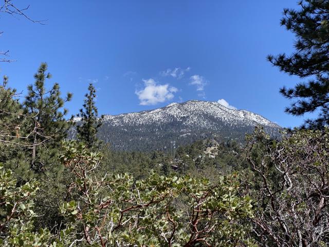 52952 Cedar Crest Dr, Idyllwild, CA 92549