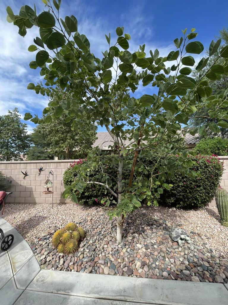 MLS #219137898DA image #37