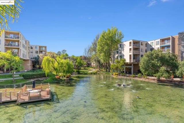 470 N N Civic Drive, Walnut Creek CA: https://media.crmls.org/mediaz/ba05fa9e-d007-4af3-9993-2ef8f2783a8f.jpg