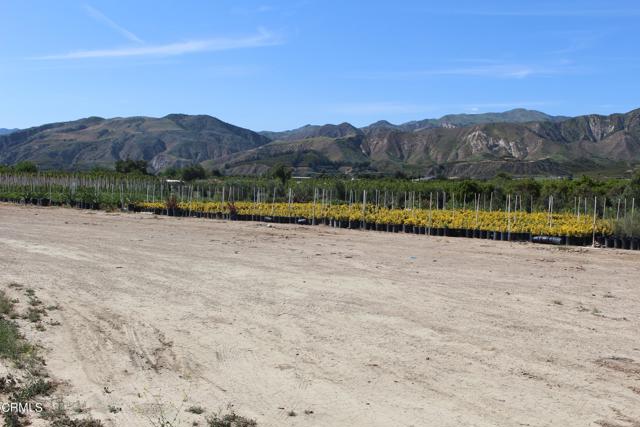 0 Torrey, Piru, CA, 93040 0 Torrey, Piru, CA, 93040