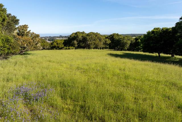 8170 Manjares (Lot 135), Monterey CA: https://media.crmls.org/mediaz/ba0fbda0-c935-4ba7-85cb-d3d880c994fa.jpg
