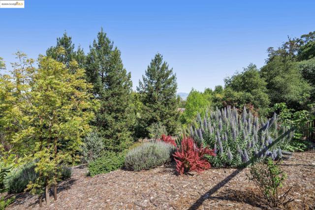 1037 Silverhill Dr, Lafayette CA: https://media.crmls.org/mediaz/ba1277dd-c2f6-45dc-83c9-b467956d1791.jpg