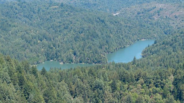 10001 West Drive, Felton CA: https://media.crmls.org/mediaz/ba1a9b5b-e1a5-421c-a096-e08f26a1e578.jpg