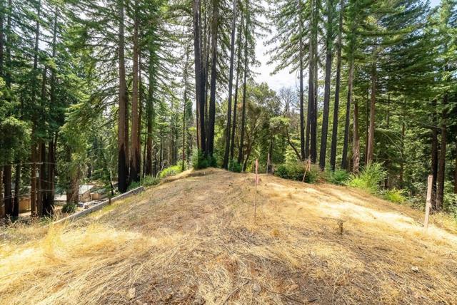 1035 Rambling Road, Boulder Creek CA: https://media.crmls.org/mediaz/ba1cafc6-65dd-45ce-96c1-e6b16a0ca1d8.jpg