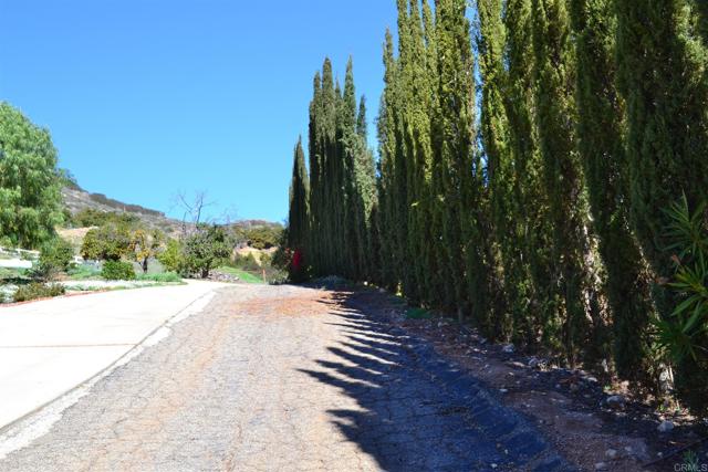 2593 Daisy Lane, Fallbrook, California 92028, ,Land,For Sale,2593 Daisy Lane,CRNDP2307998