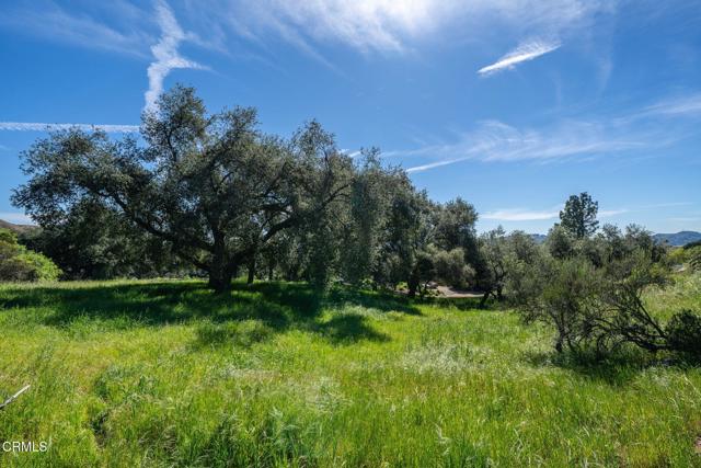 Detail Gallery Image 9 of 45 For 4700 Rising Hill Rd, Altadena,  CA 91001 - – Beds | – Baths