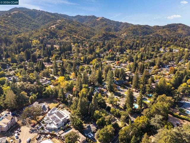 81 81 Dot Drive, Alamo CA: https://media.crmls.org/mediaz/ba2c6cd0-4900-4e1d-9a64-1e8e34480858.jpg