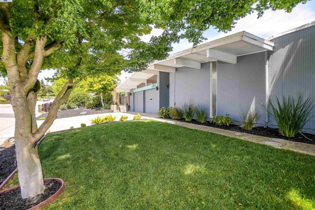5893 Highwood Rd, Castro Valley CA: https://media.crmls.org/mediaz/ba2e31ef-aa9e-415c-930d-985060133822.jpg