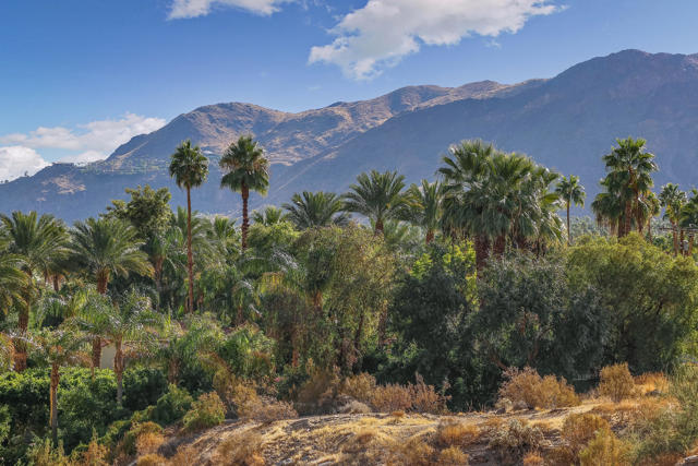 0 Ridge Road, Palm Springs CA: https://media.crmls.org/mediaz/ba341d81-e7d0-47a4-91fc-aab8ca32df18.jpg