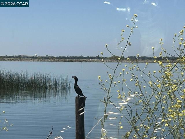 Details for 0 Bradford Island Rd, Oakley, CA 94561