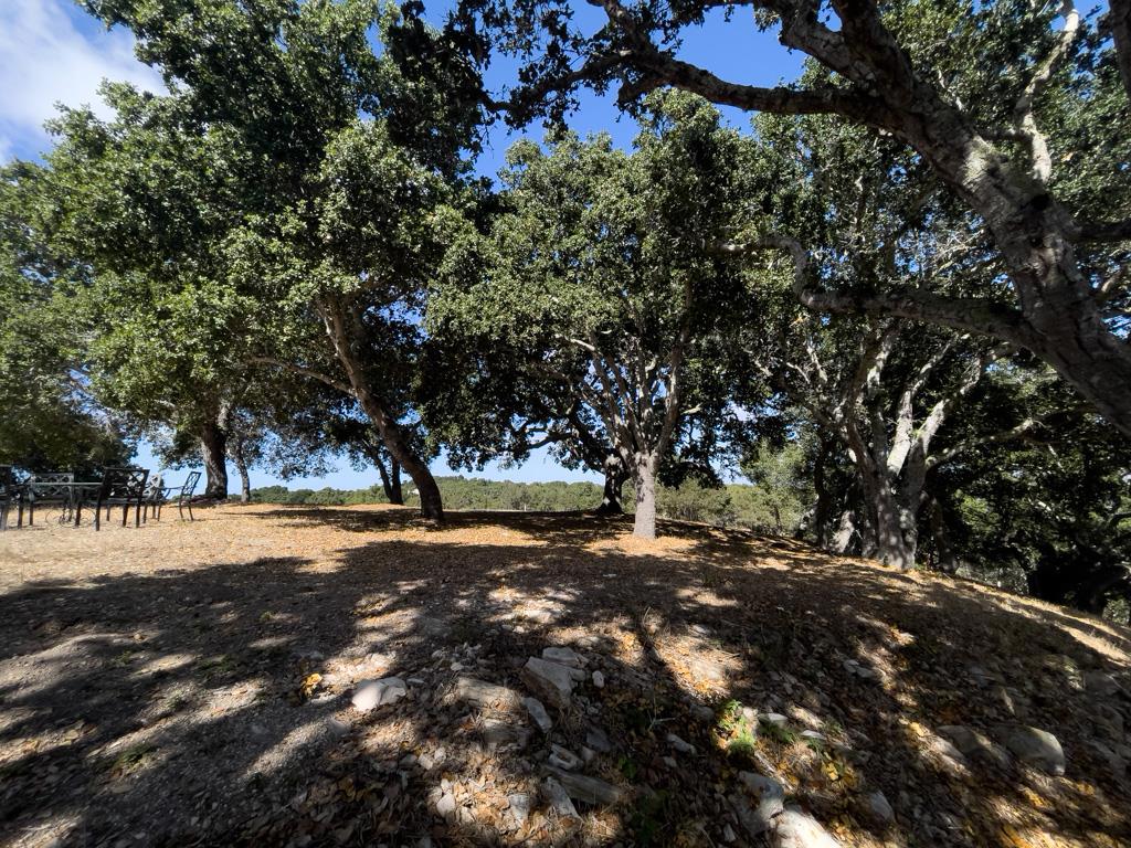 MLS #ML81990616 image #13