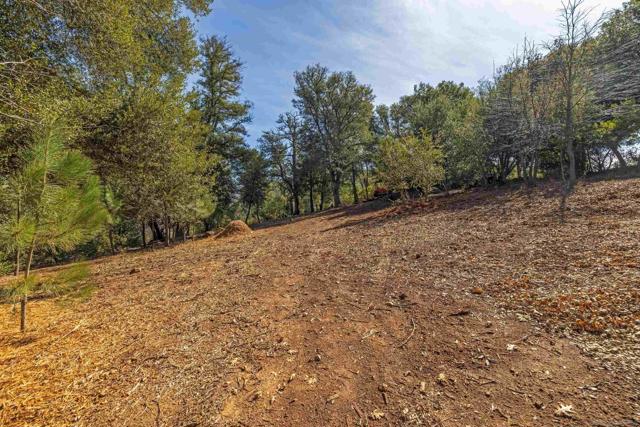 0 Frisius Dr, Julian CA: https://media.crmls.org/mediaz/ba433b96-e3fa-4aa0-b59a-2f56493a21b2.jpg