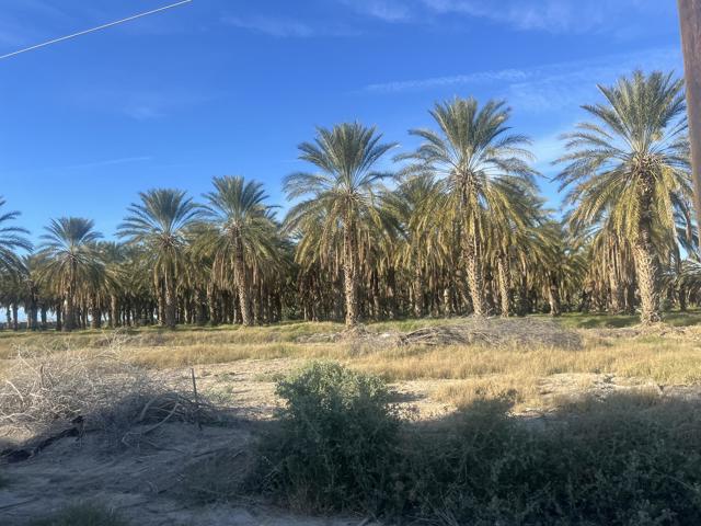 0 Nwc Pierce St & Ave 64, Thermal CA: https://media.crmls.org/mediaz/ba4c9909-3f91-4762-9304-7e93038bc630.jpg