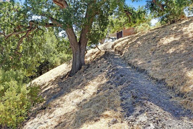 1923 Green Valley Rd, Alamo CA: https://media.crmls.org/mediaz/ba4eebf5-5d48-4a07-9680-a3b0d29a93b0.jpg