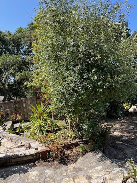 24368 San Juan Road, Carmel CA: https://media.crmls.org/mediaz/ba57867a-c2ec-4b23-8d93-b2f44db4d2cb.jpg