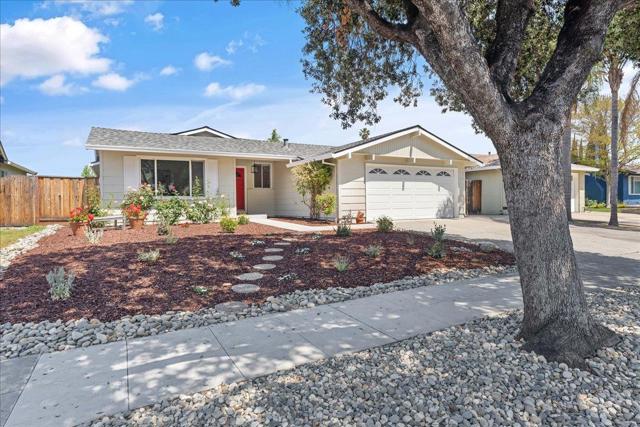 711 Los Huecos Drive, San Jose CA: https://media.crmls.org/mediaz/ba59559f-21d9-4e72-86e5-71d0678e8ac2.jpg