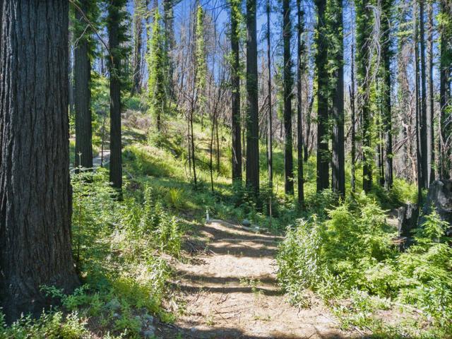 685 Robles Drive, Santa Cruz CA: https://media.crmls.org/mediaz/ba5e64c3-db16-4235-bf4d-26dbd339e20d.jpg