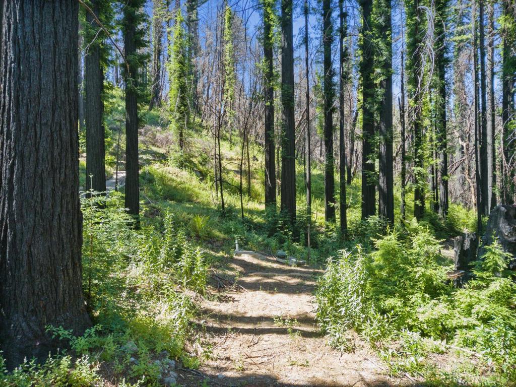 MLS #ML82019121 image #8