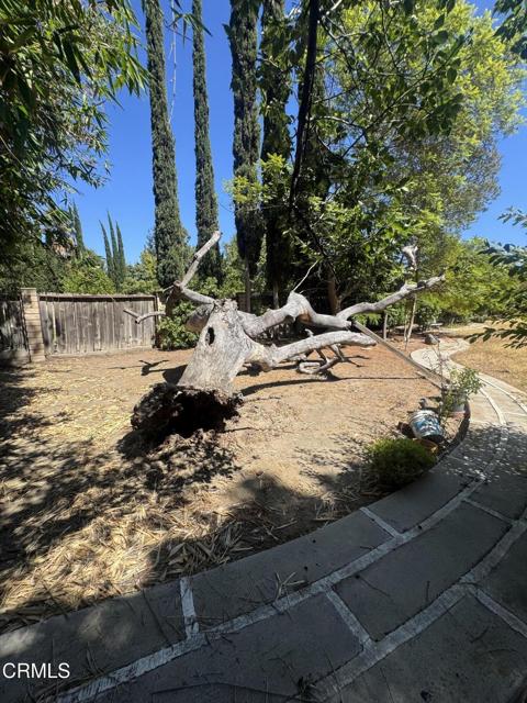 238 W Le Roy Avenue, Arcadia CA: https://media.crmls.org/mediaz/ba5f8db2-85da-45e3-a168-872f4997be69.jpg