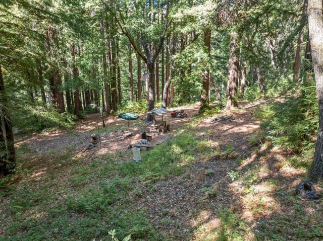 19900 Kings Creek Road, Boulder Creek CA: https://media.crmls.org/mediaz/ba64ca37-4151-429b-98ad-d73cf339f420.jpg