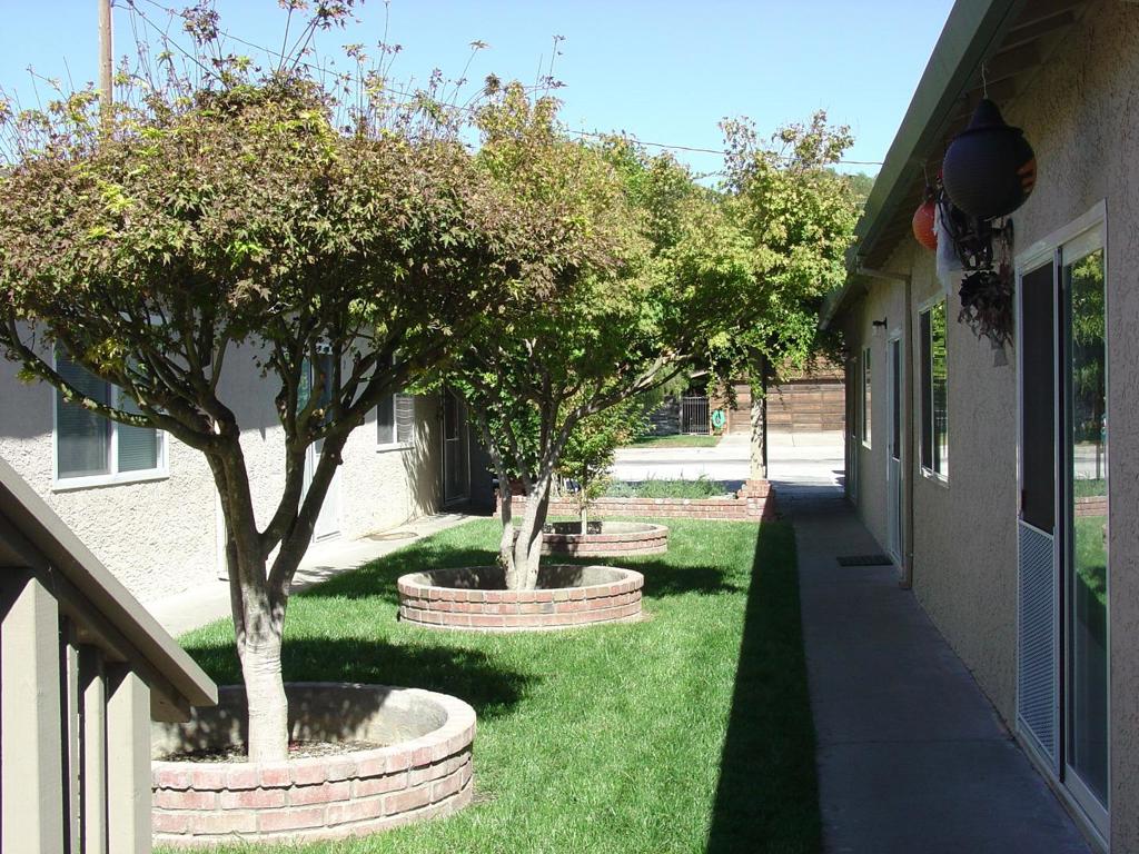 1003 Third Street #5