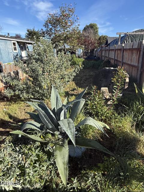 Detail Gallery Image 19 of 25 For 1361 E Oak St, Fort Bragg,  CA 95437 - 2 Beds | 2 Baths