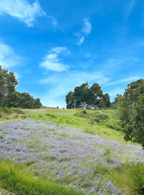 8 Corral Run, Carmel CA: https://media.crmls.org/mediaz/ba757166-584e-4c7e-9274-259415f30dc1.jpg