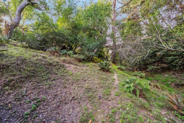 7171 HOMEWOOD DRIVE, Oakland CA: https://media.crmls.org/mediaz/ba88e98e-b415-4a5f-b3e4-a5b1477eb2b4.jpg