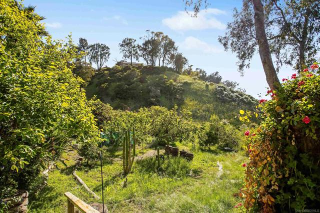 201 Foussat Rd, Oceanside CA: https://media.crmls.org/mediaz/ba8c2fc2-8f10-4ae9-bf1a-d04196b7b62d.jpg