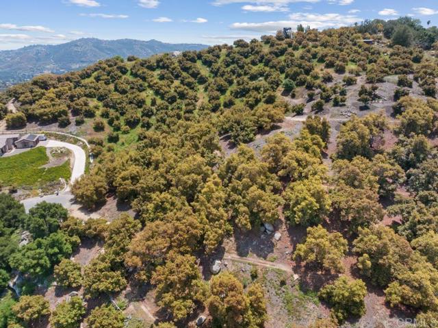 0 Avenida Mil Flores, Bonsall, California 92003, ,Residential Land,For Sale,Avenida Mil Flores,NDP2404555