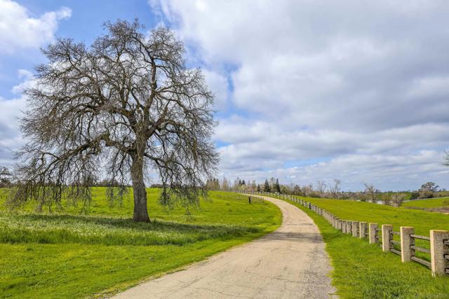 24943 N McIntire Road, Clements CA: https://media.crmls.org/mediaz/ba94422e-295d-49ac-a225-2aee1b68f738.jpg