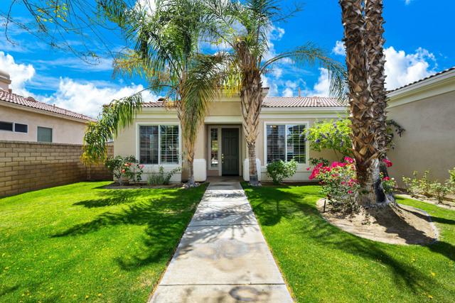 Front Ext