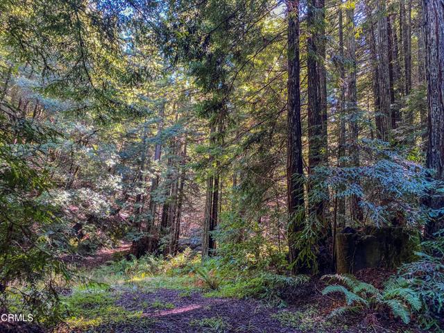 0 Irmulco Road, Willits CA: https://media.crmls.org/mediaz/ba9b8817-90f8-4269-8719-65f1ffac8758.jpg