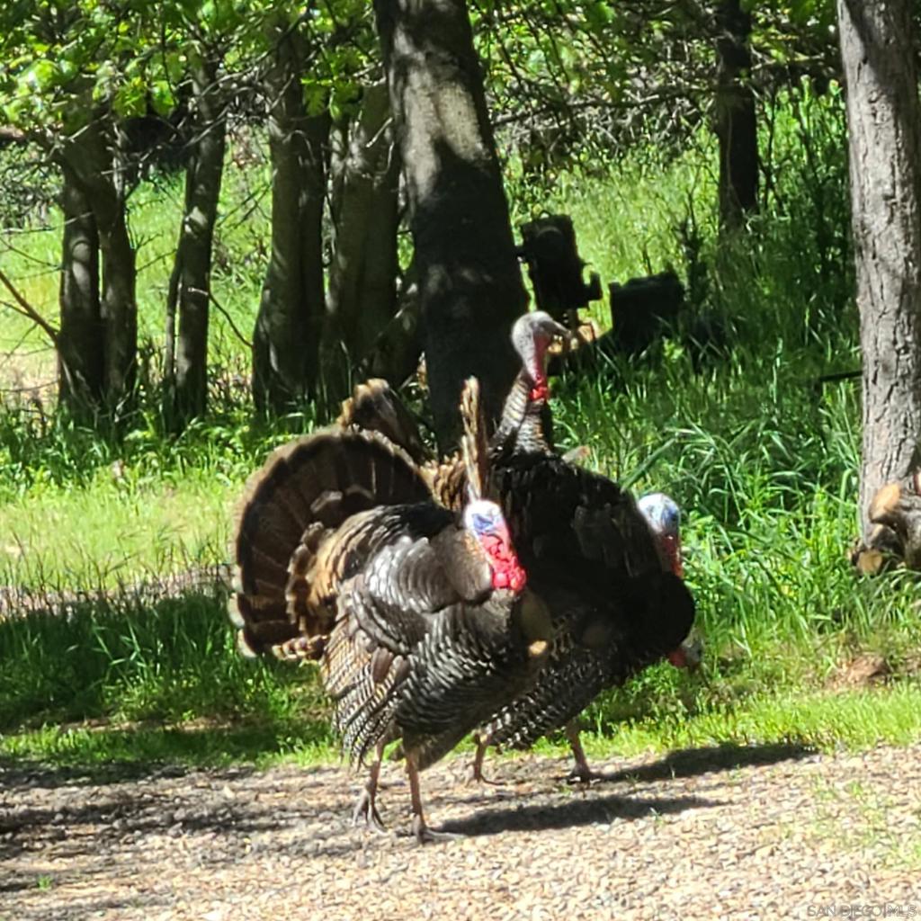 https://media.crmls.org/mediaz/baa6a633-19b7-46d9-b0f8-4df0ac38a6b7.jpg?preset=X-Large
