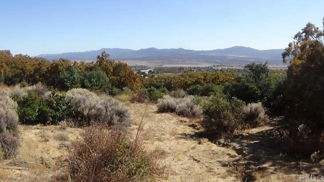 Detail Gallery Image 37 of 41 For 37245 Old Forest Rd, Anza,  CA 92539 - – Beds | – Baths