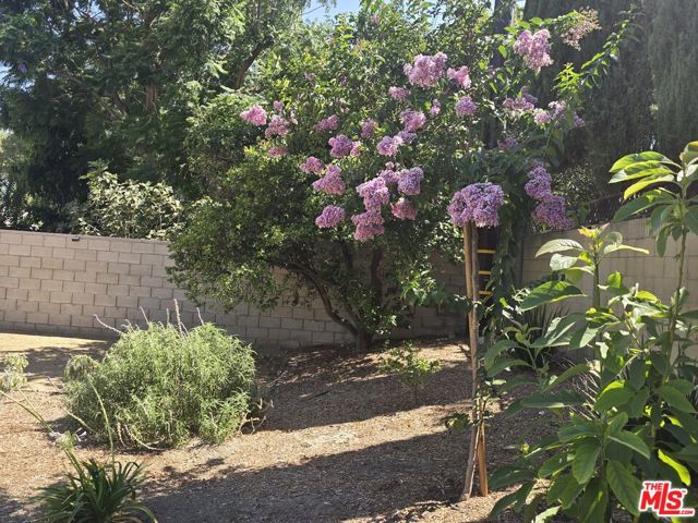 3335 Felix Avenue photo 22